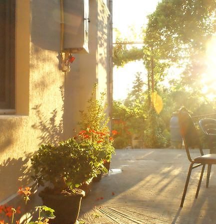 Merabi And Neli Guest House Machindżauri Zewnętrze zdjęcie
