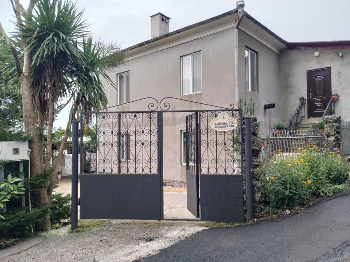 Merabi And Neli Guest House Machindżauri Zewnętrze zdjęcie
