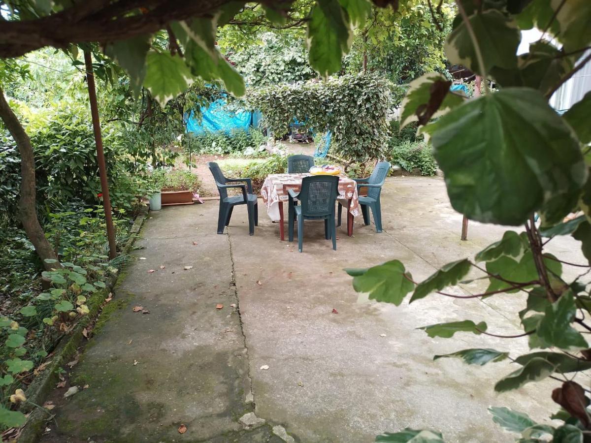Merabi And Neli Guest House Machindżauri Zewnętrze zdjęcie
