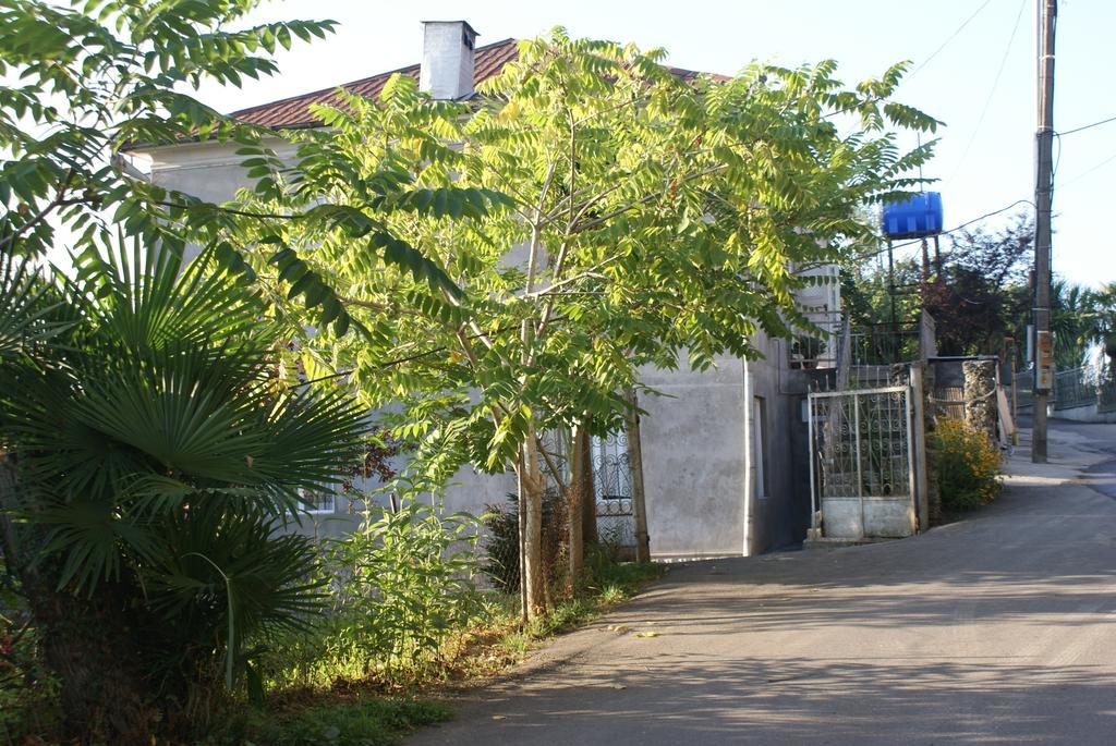 Merabi And Neli Guest House Machindżauri Zewnętrze zdjęcie